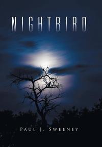 bokomslag Nightbird