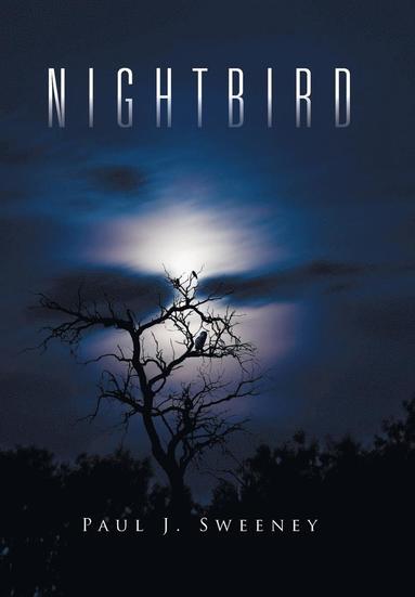 bokomslag Nightbird