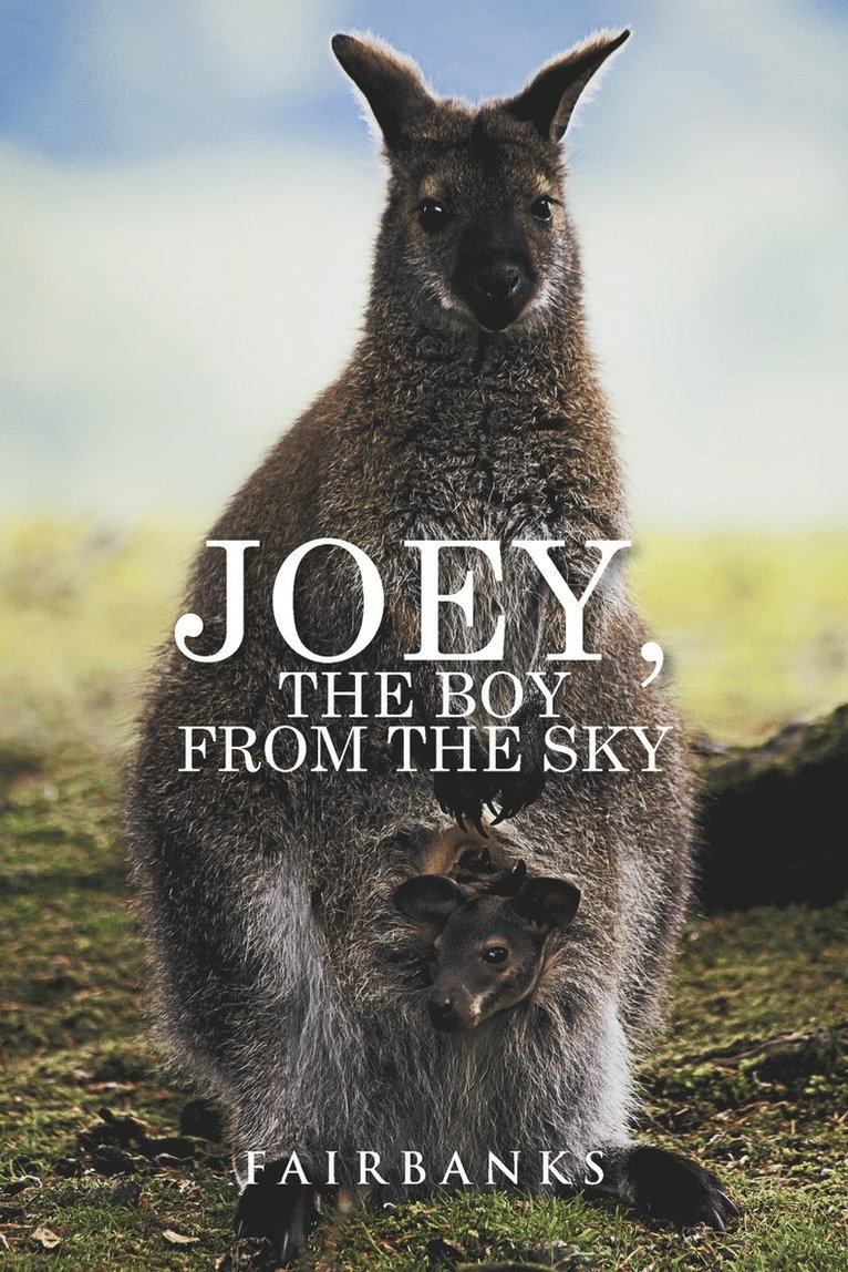 Joey, the Boy from the Sky 1