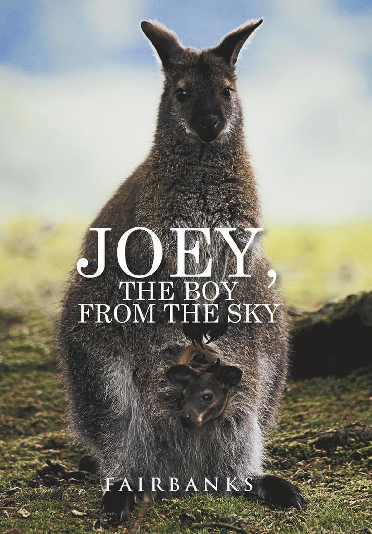 Joey, the Boy from the Sky 1