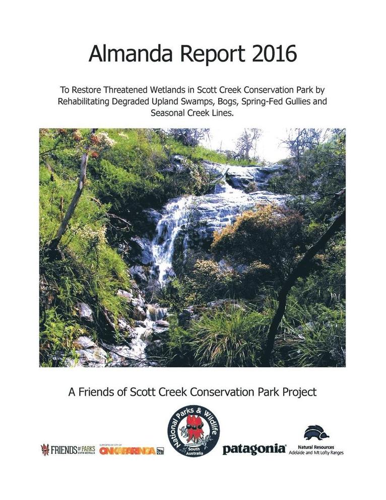 Almanda Report 2016 1