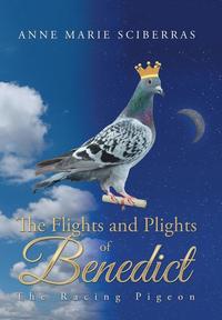 bokomslag The Flights and Plights of Benedict