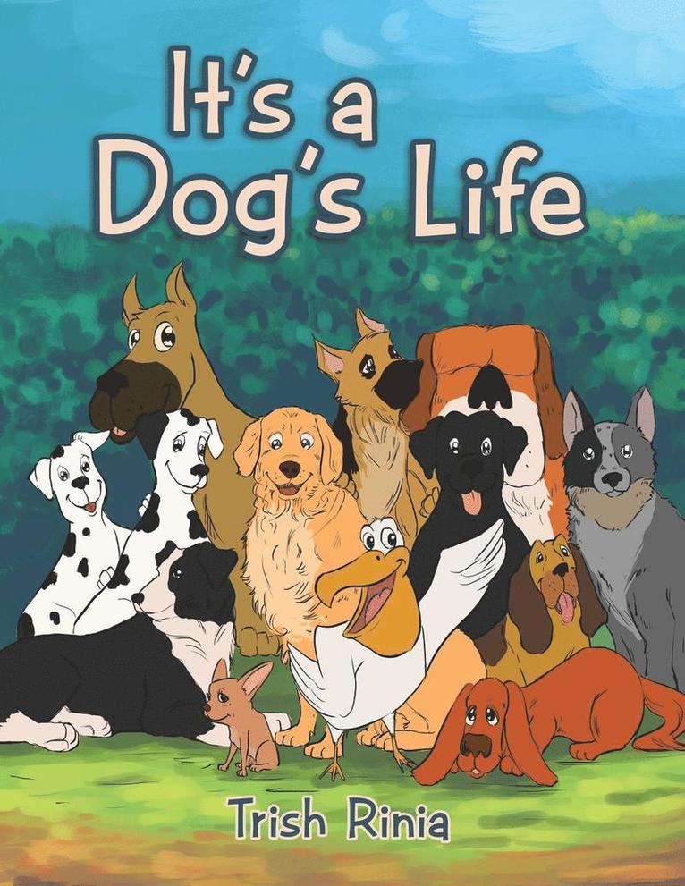 It's a Dog's Life 1