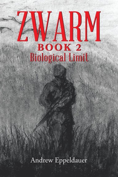 bokomslag Zwarm Book 2