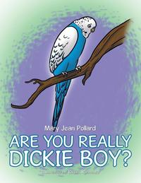 bokomslag Are You Really Dickie Boy?