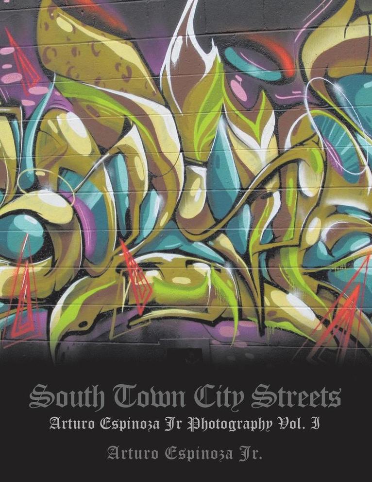 South Town City Streets 1