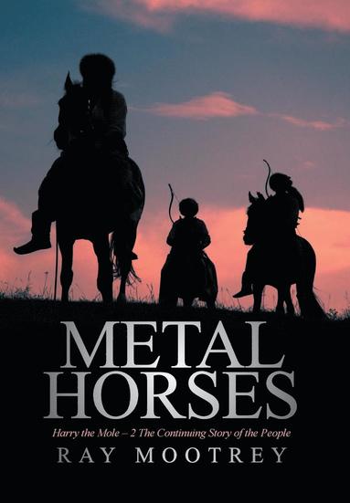 bokomslag Metal Horses