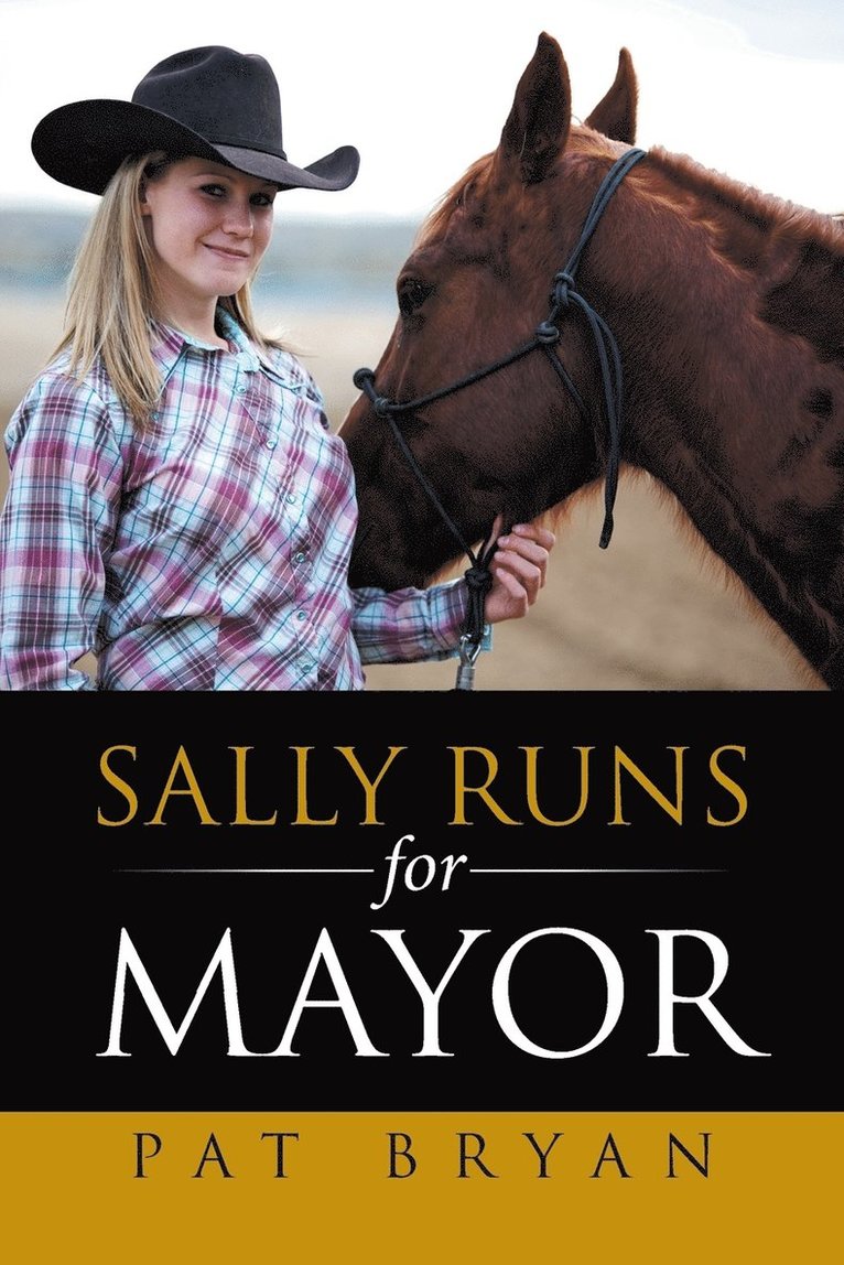 Sally Runs for Mayor 1