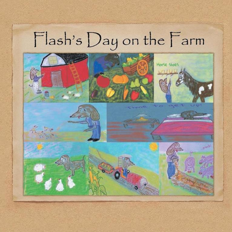 Flash's Day on the Farm 1