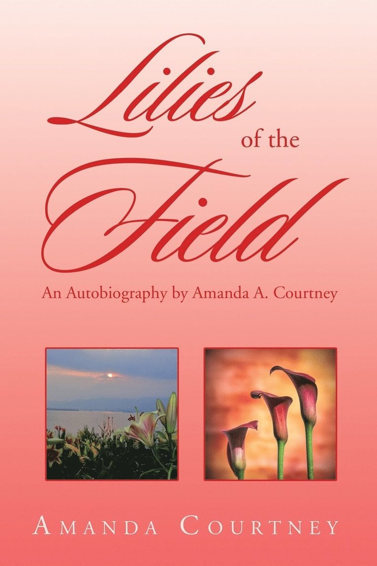 Lilies of the Field 1