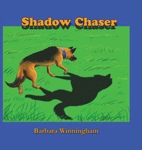 bokomslag Shadow Chaser