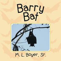 bokomslag Barry Bat
