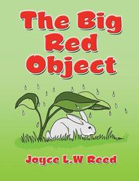 bokomslag Big Red Object