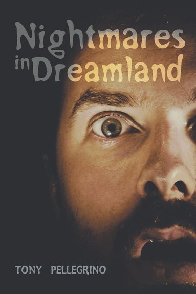 bokomslag Nightmares in Dreamland