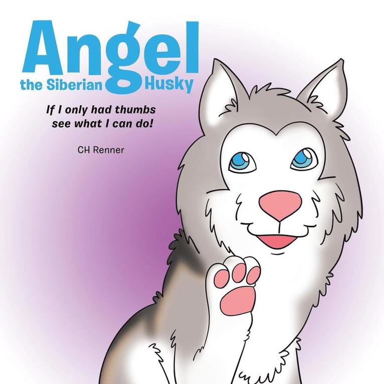Angel the Siberian Husky 1