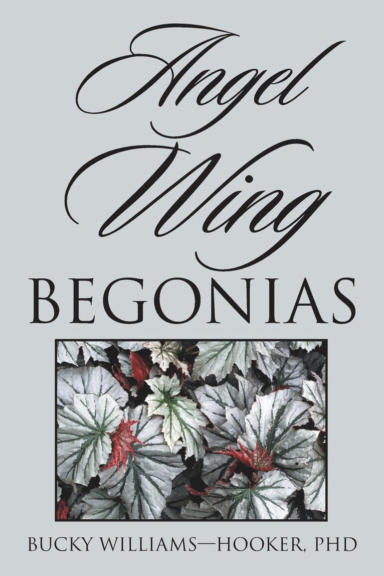 Angel Wing Begonias 1