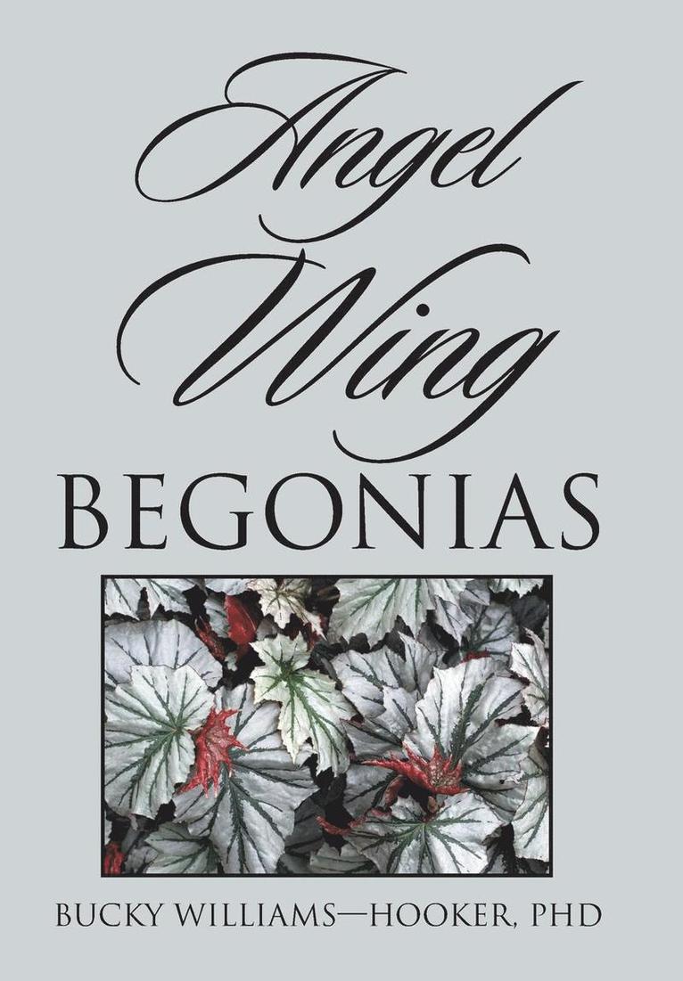 Angel Wing Begonias 1