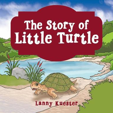 bokomslag The Story of Little Turtle