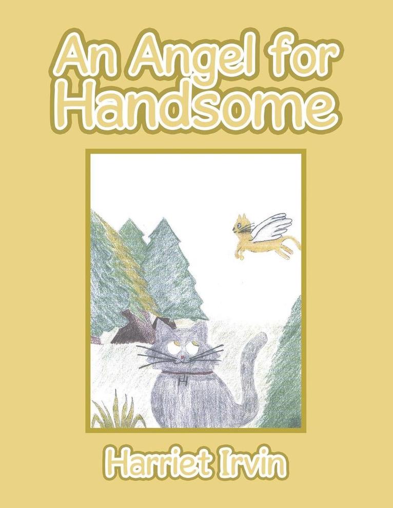 Angel for Handsome 1