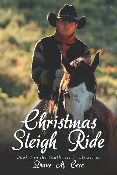 bokomslag Christmas Sleigh Ride