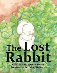 bokomslag The Lost Rabbit