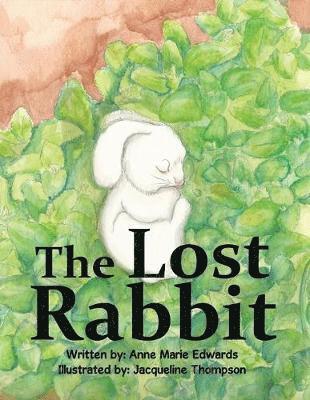 Lost Rabbit