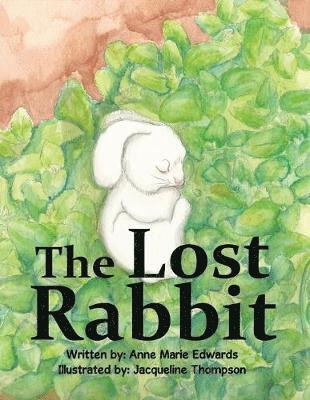 The Lost Rabbit 1