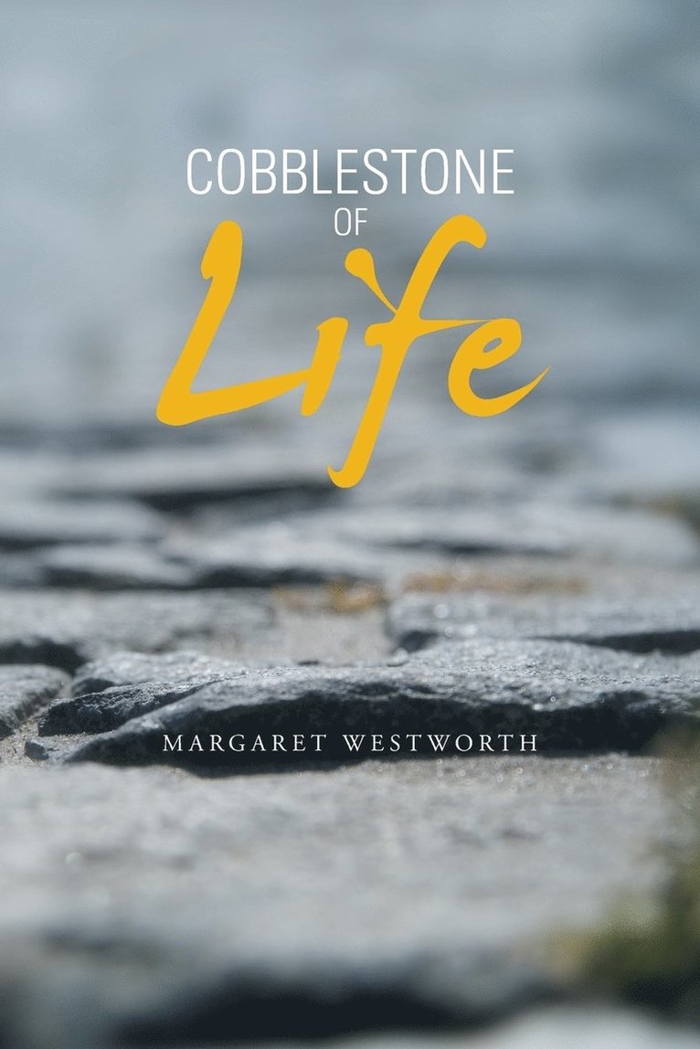 Cobblestone of Life 1