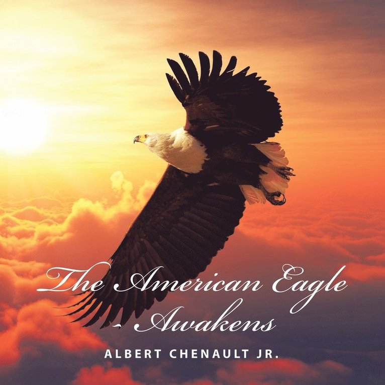 The American Eagle-Awakens 1