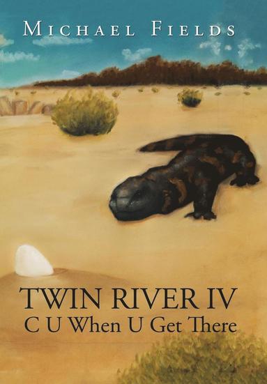 bokomslag Twin River IV