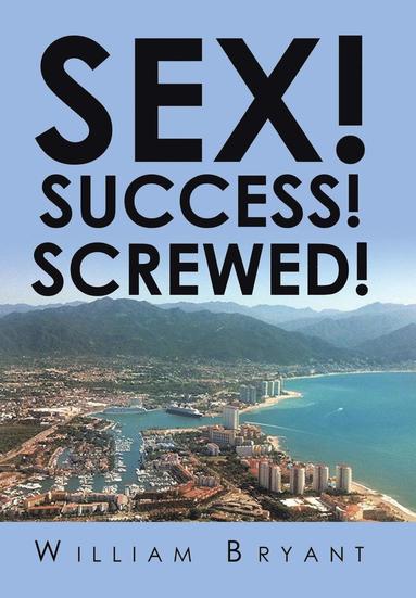 bokomslag Sex! Success! Screwed!