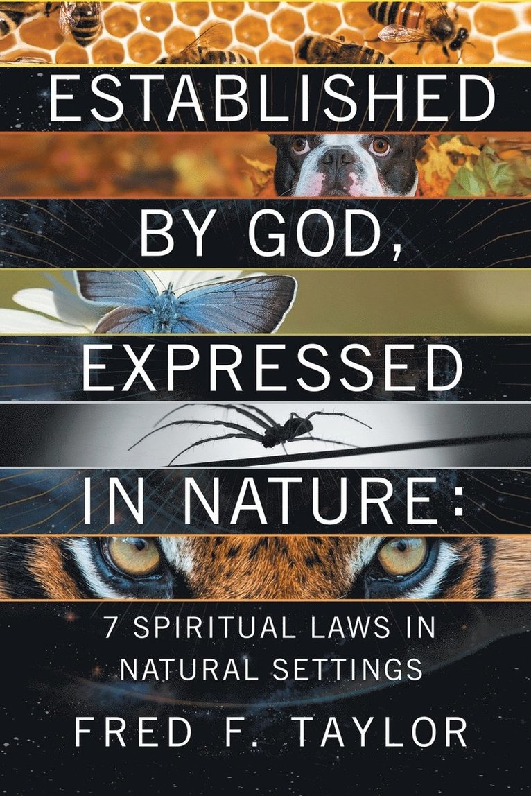 Established by God, Expressed in Nature 1