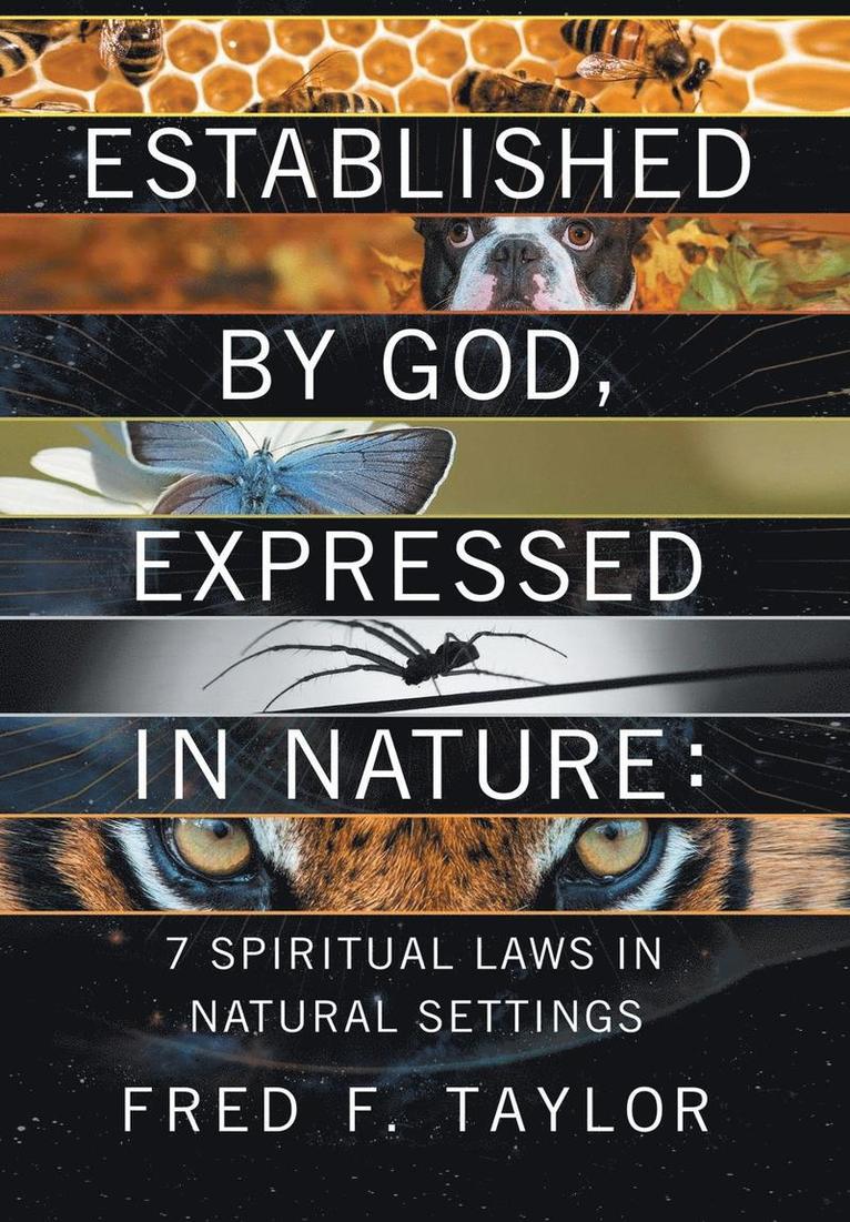 Established by God, Expressed in Nature 1