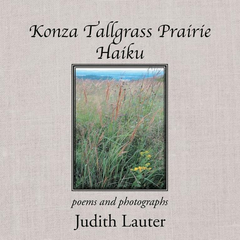 Konza Tallgrass Prairie Haiku 1