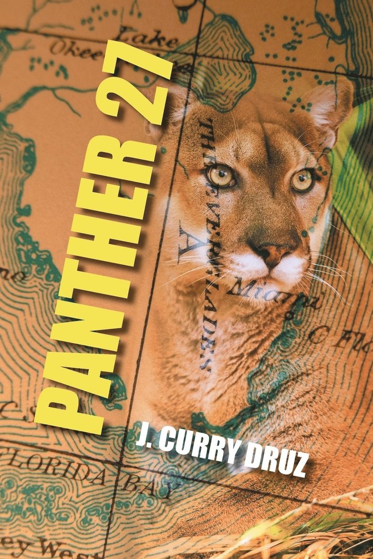 Panther 27 1