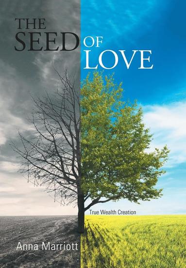 bokomslag Seed of Love