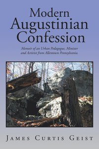 bokomslag Modern Augustinian Confession