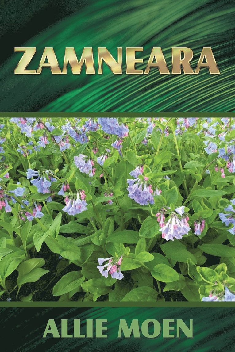 Zamneara 1