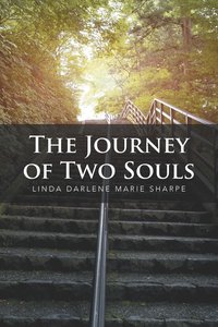 bokomslag The Journey of Two Souls