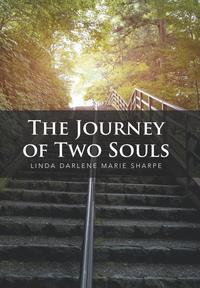 bokomslag The Journey of Two Souls