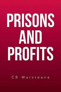 bokomslag Prisons and Profits