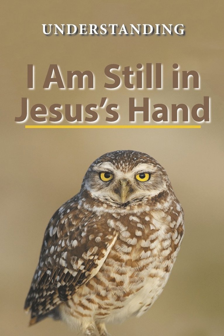 Understanding, Understanding, - I Am Still in Jesus's Hand, Häftad