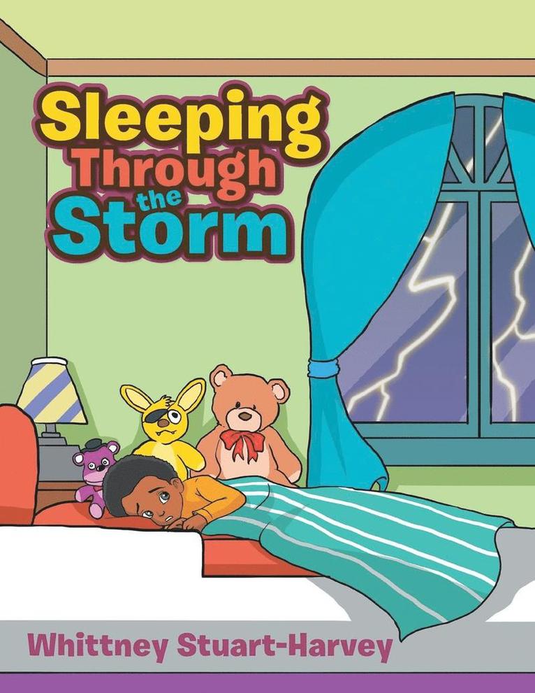 Sleeping Through the Storm 1