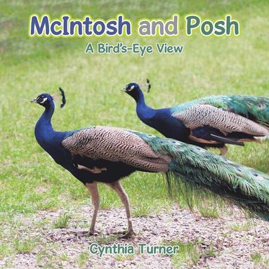 Cynthia Turner - McIntosh and Posh, Häftad