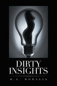 bokomslag Dirty Insights