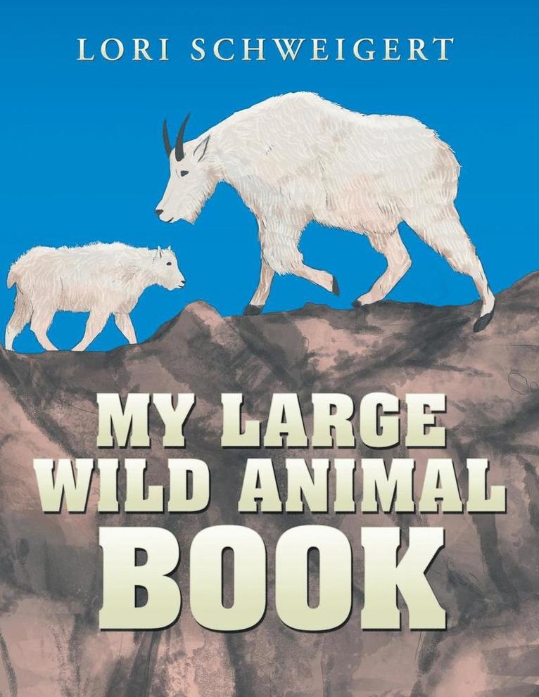 My Large Wild Animal Book 1