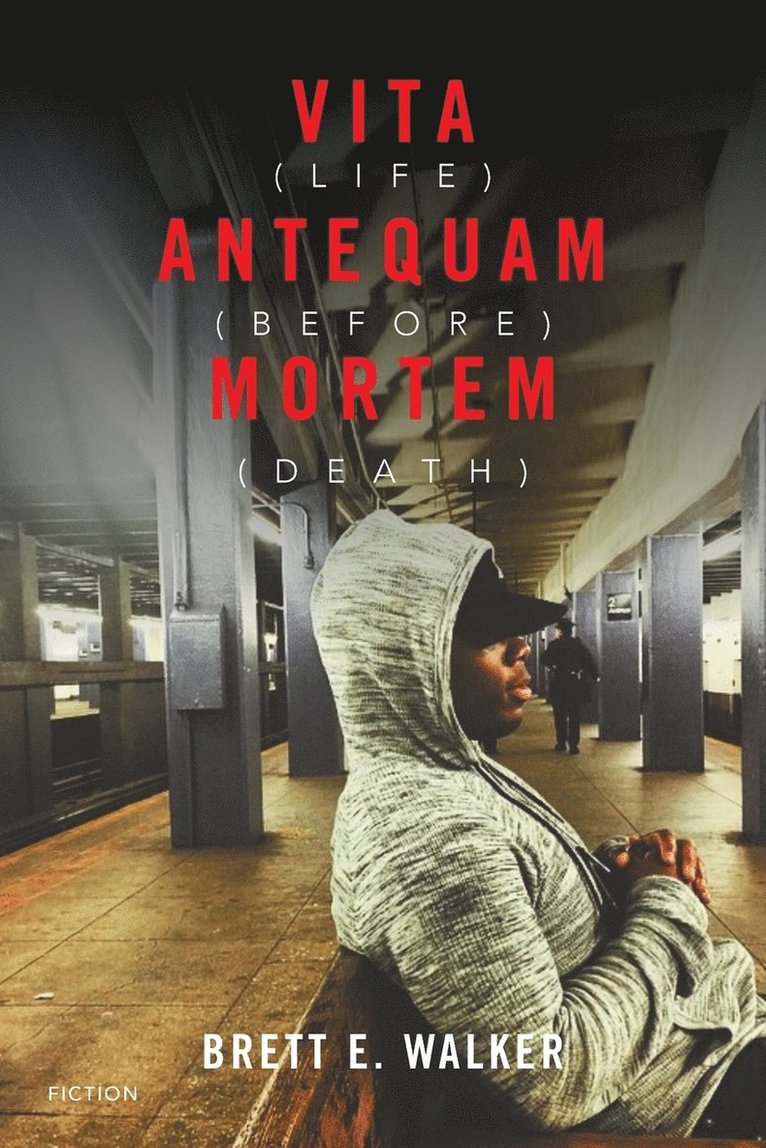 Vita Antequam Mortem 1