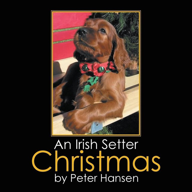 Peter Hansen - Irish Setter Christmas, Häftad