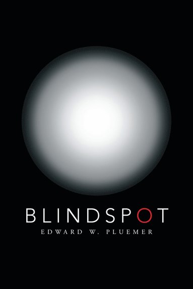 bokomslag Blindspot