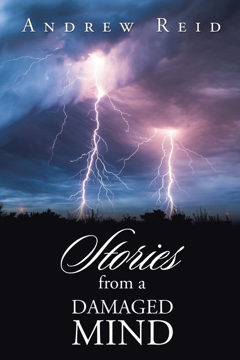 Andrew Reid - Stories from a Damaged Mind, Häftad